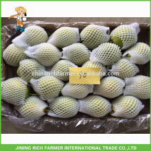 Top Quality Fresh Shandong Pear